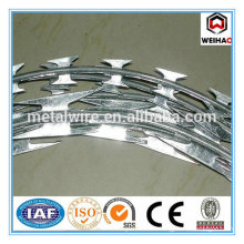 Electro galvanized raozr barbed wire